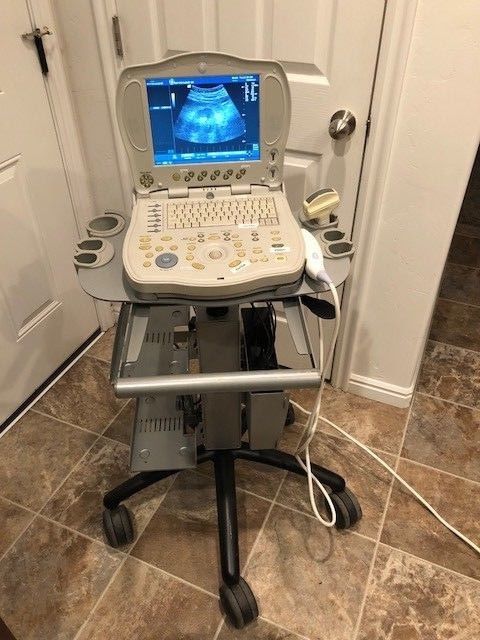 GE Logiq Book Portable Ultrasound  2004 DIAGNOSTIC ULTRASOUND MACHINES FOR SALE