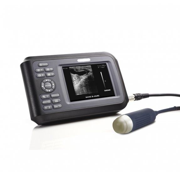 Veterinary Ultrasound Scanner Handscan Probe For Animal Pig Sheep Dog Pregnancy DIAGNOSTIC ULTRASOUND MACHINES FOR SALE