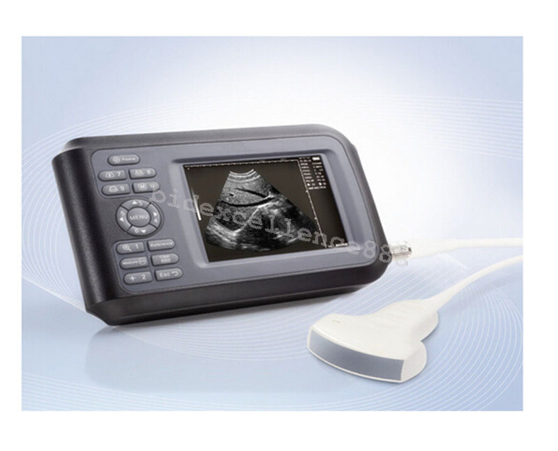 5.5 " Palmtop Handheld Ultrasound Machine Scanner Micro-convex Heart Probe  Case 190891404091 DIAGNOSTIC ULTRASOUND MACHINES FOR SALE