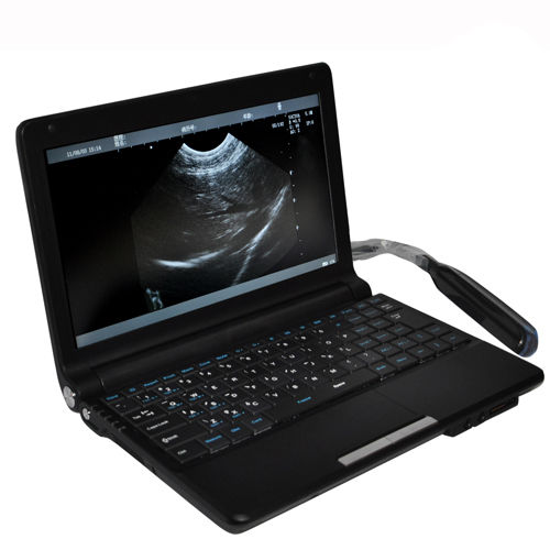 Vet Digital Laptop Veterinary Ultrasound Scanner  Machine+ Rectal probe 3D A+ 190891426246 DIAGNOSTIC ULTRASOUND MACHINES FOR SALE