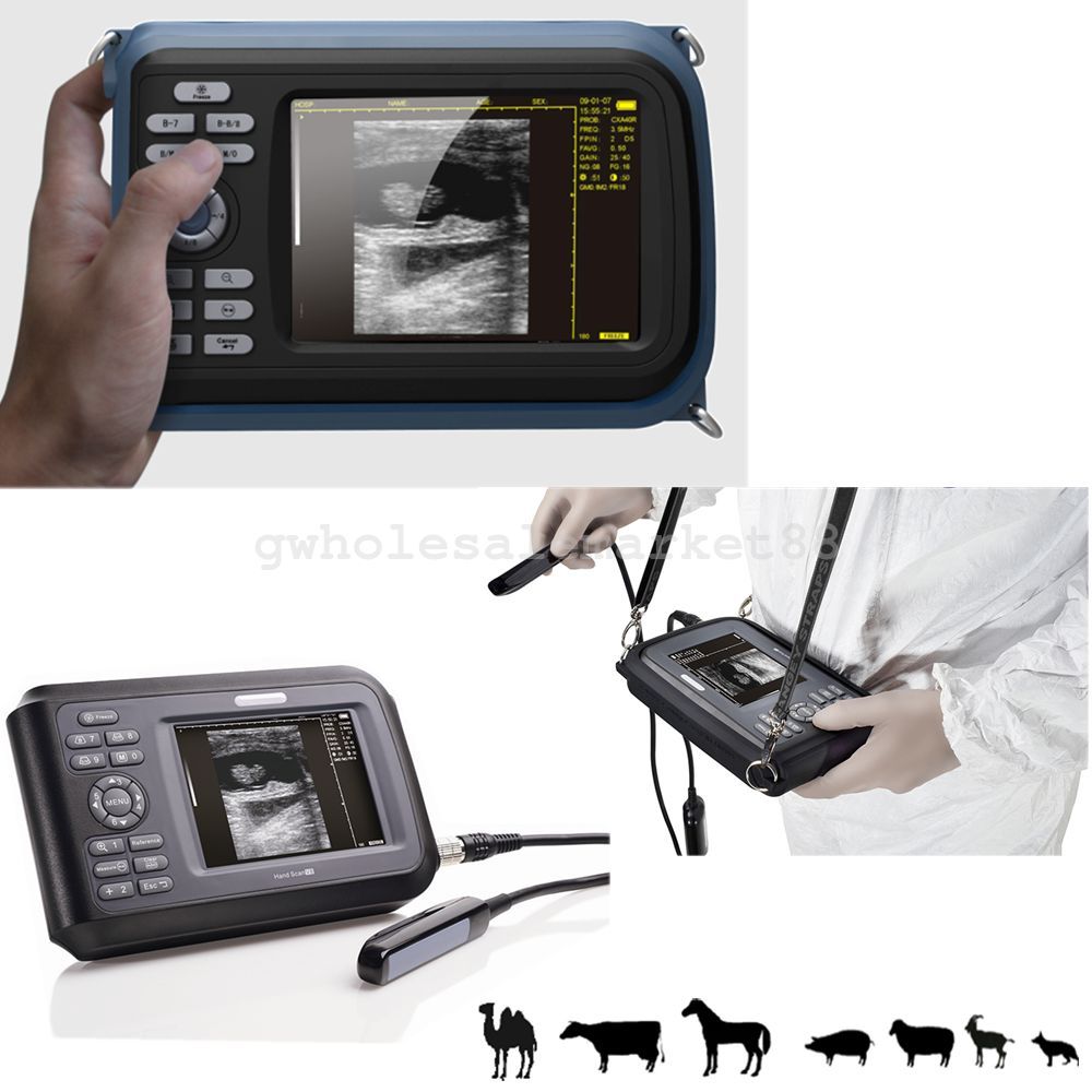 Veterinary Digital Laptop Ultrasound Scanner Animal Rectal Probe+Cover+ Battery DIAGNOSTIC ULTRASOUND MACHINES FOR SALE