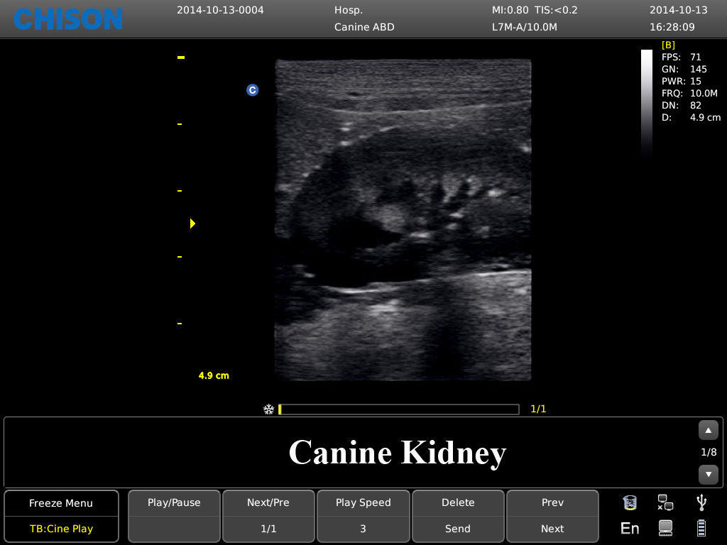 Chison ECO3 Ultrasound w/ 1 Probes and Accredited Veterinary Online Training DIAGNOSTIC ULTRASOUND MACHINES FOR SALE