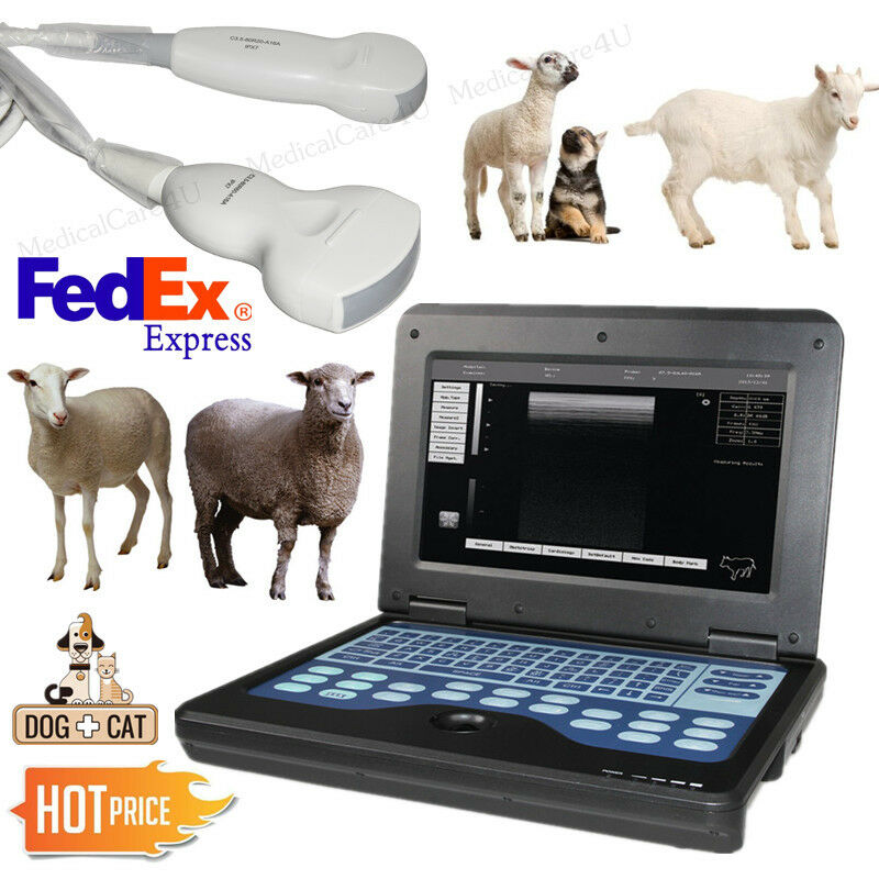 Veterinary Ultrasound Scanner Laptop Machine,Convex/Micro Convex Sheep/Dog/Cat 670924011996 DIAGNOSTIC ULTRASOUND MACHINES FOR SALE