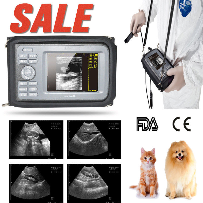 SALE! Ultrasound Scanner Machine LCD+6.5MHz Rectal Probe VET Veterinary Monitor 190891462008 DIAGNOSTIC ULTRASOUND MACHINES FOR SALE