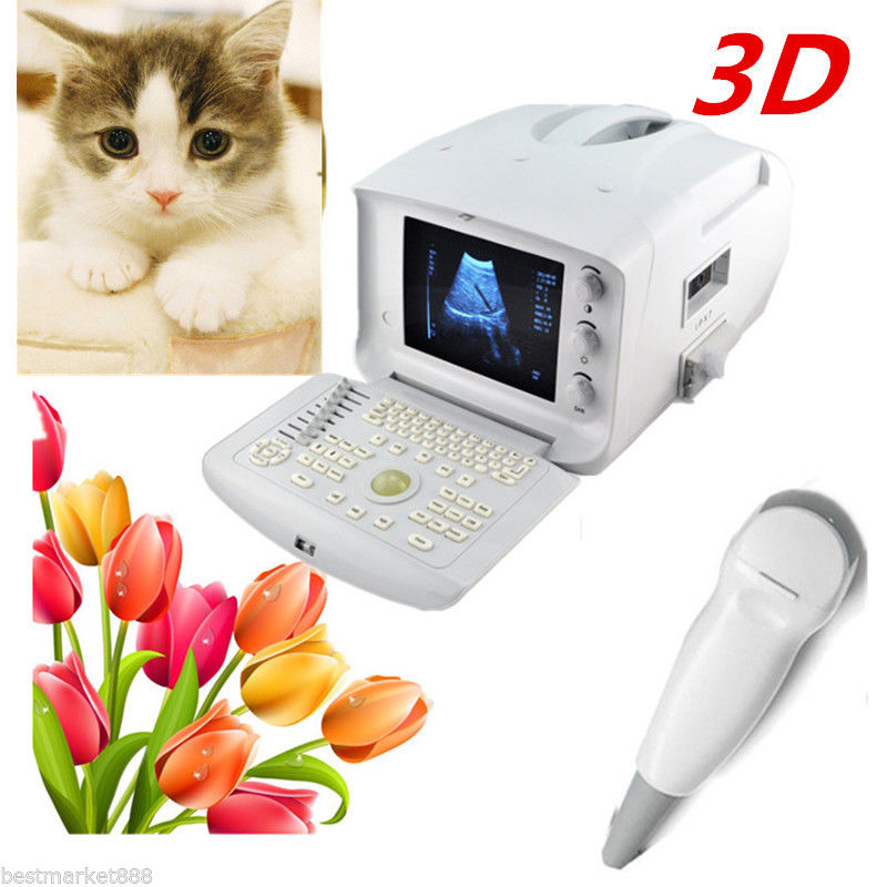 Vet 10'' LCD Digital Ultrasound Scanner Micro-Convex Cardiac Probe + 3D Version DIAGNOSTIC ULTRASOUND MACHINES FOR SALE