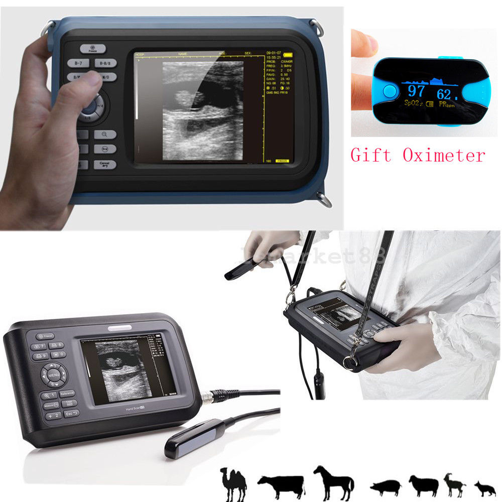 USA Veterinary handheld Ultrasound Scanner Machine Animal Rectal Probe+ Oximeter DIAGNOSTIC ULTRASOUND MACHINES FOR SALE