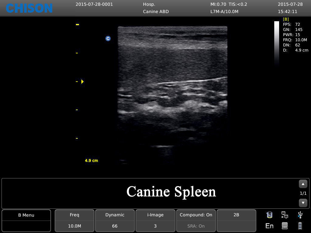 Chison ECO3 Ultrasound w/ 1 Probes and Accredited Veterinary Online Training DIAGNOSTIC ULTRASOUND MACHINES FOR SALE