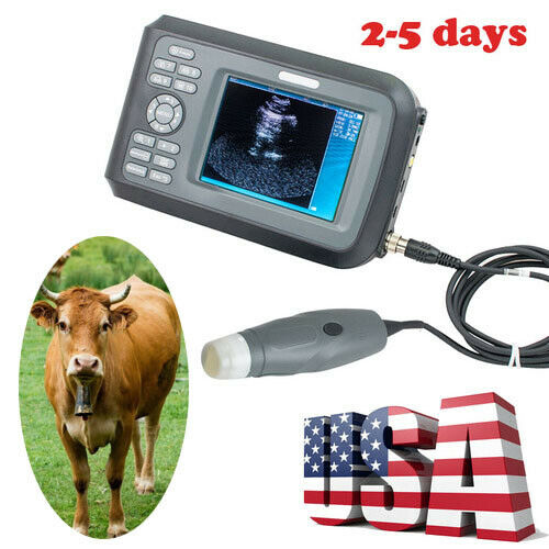 US Handheld Ultrasound Scanner Animals Veterinary VET+Mechanical Sector Probe DIAGNOSTIC ULTRASOUND MACHINES FOR SALE