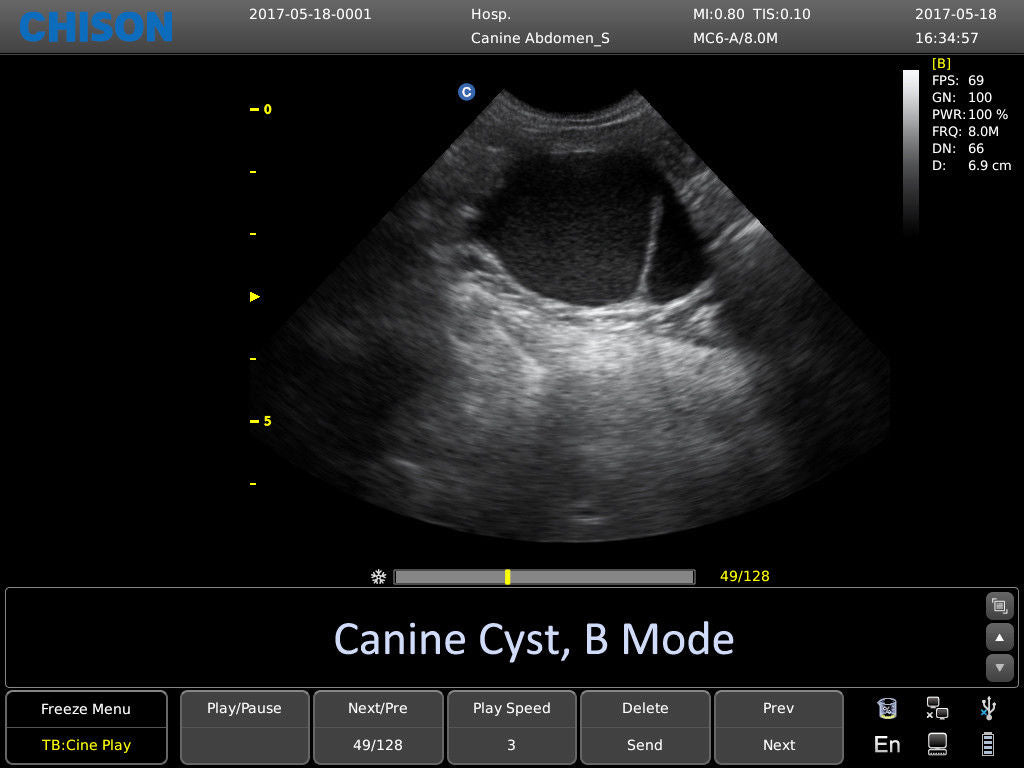 Chison ECO6 Ultrasound w/ 2 Probes and Accredited Veterinary Online Training DIAGNOSTIC ULTRASOUND MACHINES FOR SALE