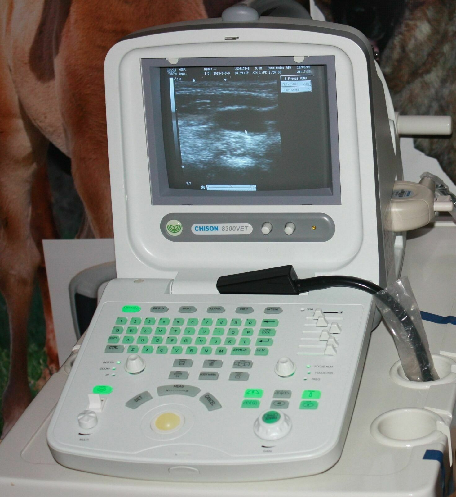 Best Deal Veterinary Ultrasound, Chison 8300Vet, Good Quality, Most Affordable DIAGNOSTIC ULTRASOUND MACHINES FOR SALE