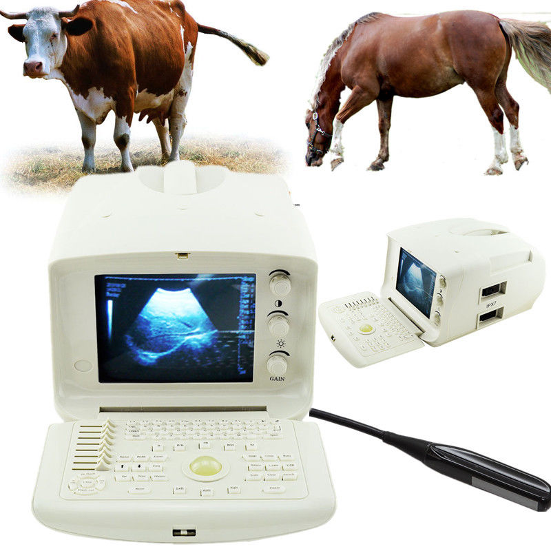 Top Veterinary Vet Ultrasound Scanner Rectal Probe Convex 3D Version Medical CE DIAGNOSTIC ULTRASOUND MACHINES FOR SALE