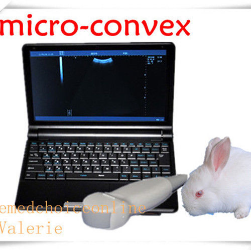 Top VET Digital Laptop Ultrasound Scanner +Micro-convex Probe Little Amimal Use DIAGNOSTIC ULTRASOUND MACHINES FOR SALE