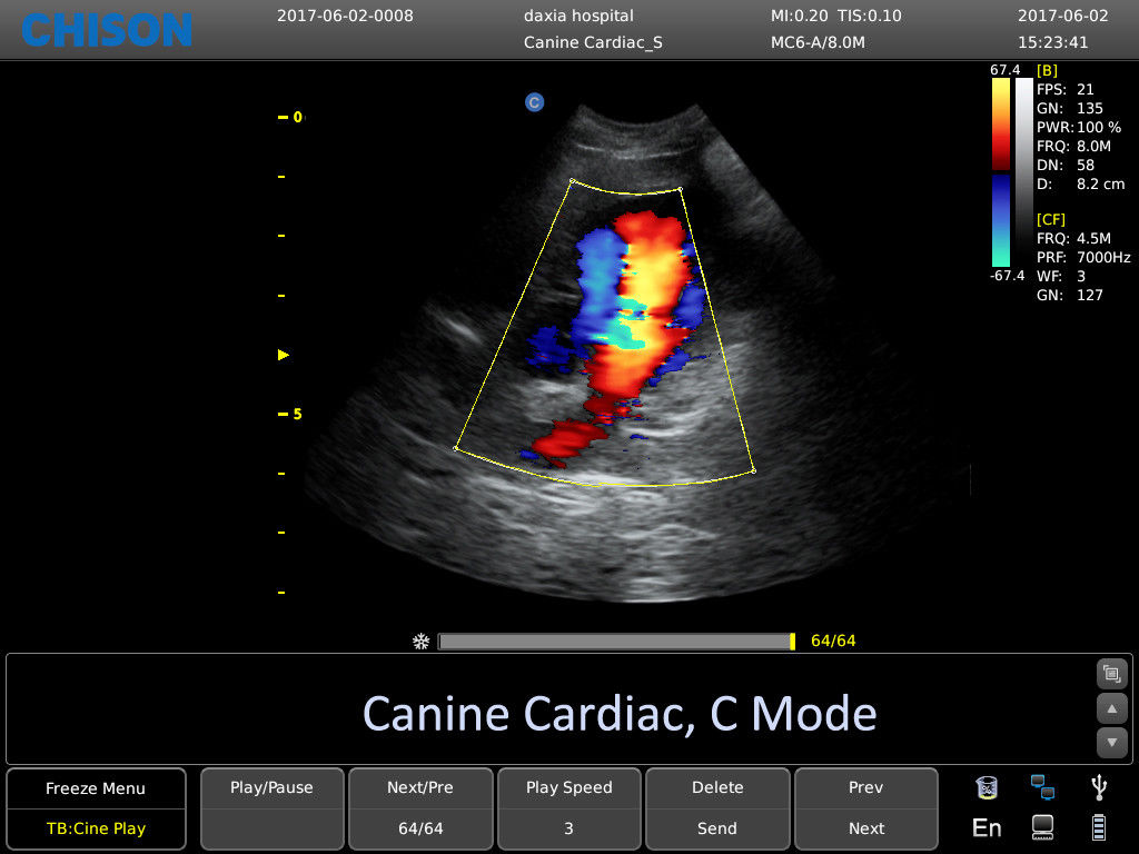 Chison ECO6 Ultrasound w/ 2 Probes and Accredited Veterinary Online Training DIAGNOSTIC ULTRASOUND MACHINES FOR SALE