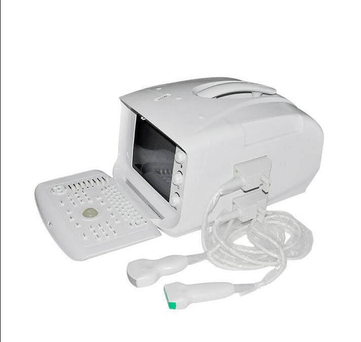 Free 3D Digital Ultrasound Scanner Machine  Convex /Curve Vignial 2 probes USB 190891933249 DIAGNOSTIC ULTRASOUND MACHINES FOR SALE