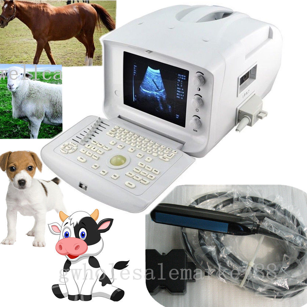 Portable Laptop Vet Veterinary Ultrasound Scanner Machine + Rectal Probe + 3D  190891826916 DIAGNOSTIC ULTRASOUND MACHINES FOR SALE
