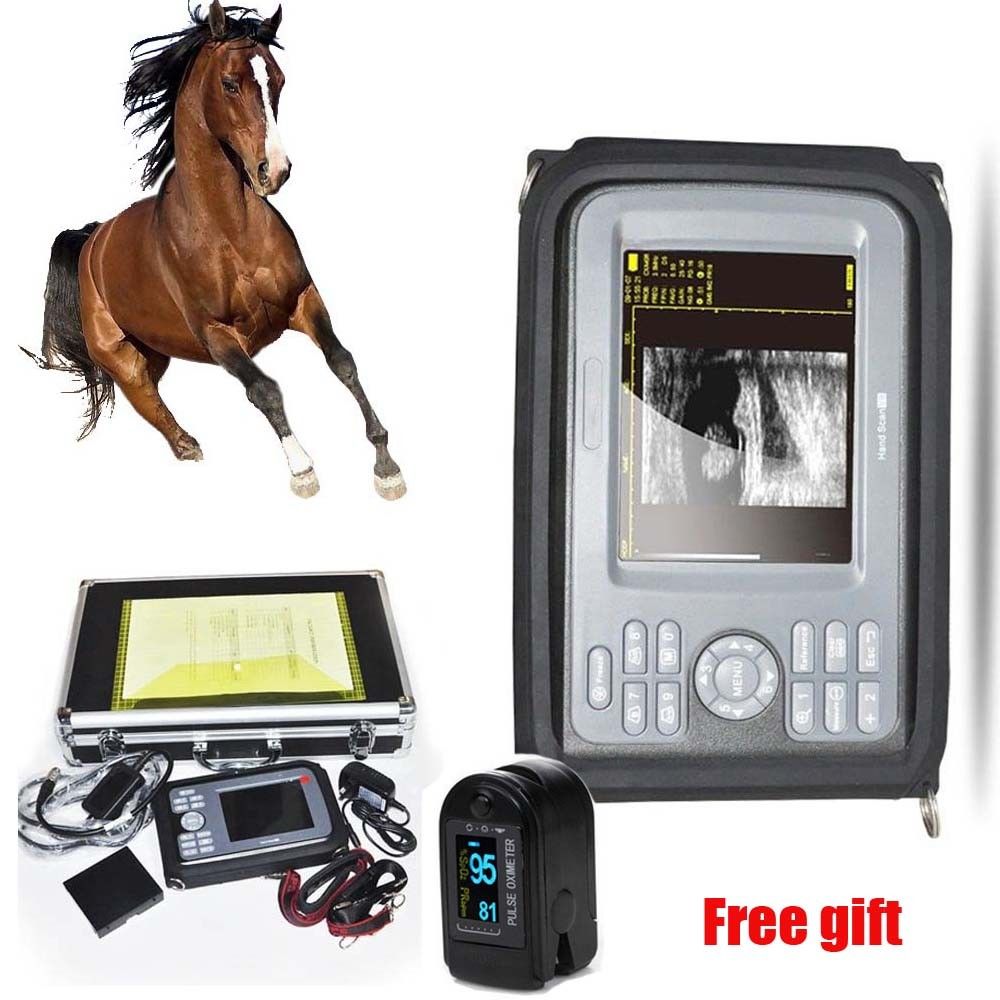 Veterinary Digital  Ultrasound Scanner Machine+ Animal Rectal Probe+ Case Sale 190891380173 DIAGNOSTIC ULTRASOUND MACHINES FOR SALE