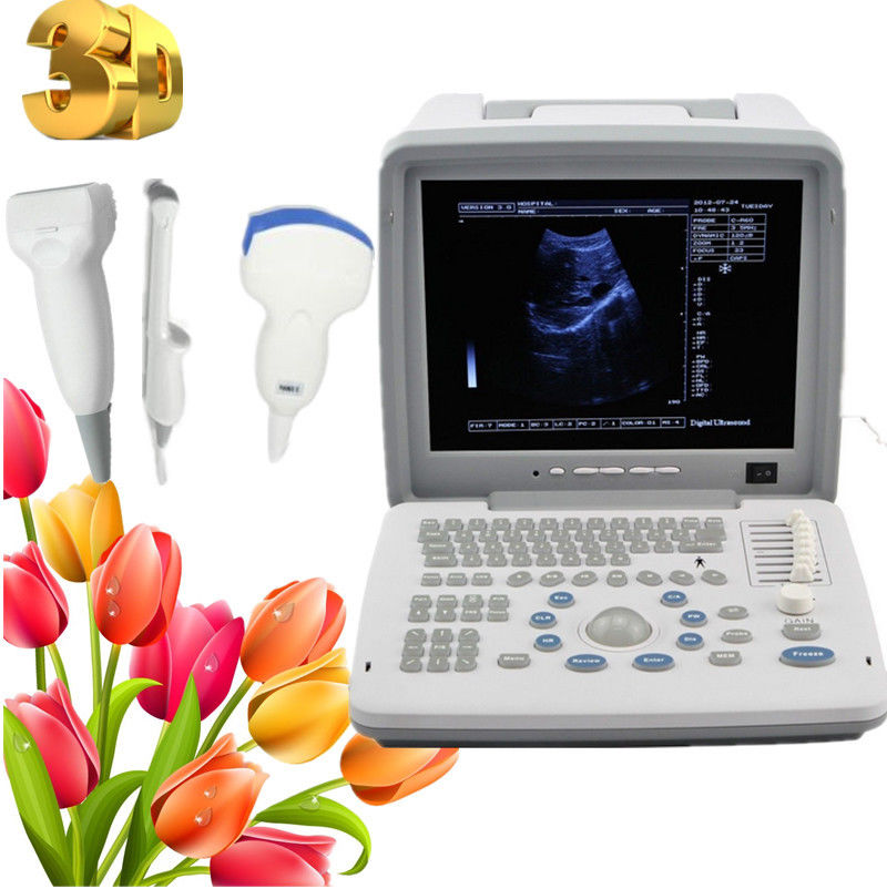 Top Sell Ultrasound Scanner Scan Convex Linear Transvaginal Probes Pregnancy CE DIAGNOSTIC ULTRASOUND MACHINES FOR SALE