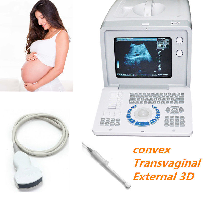 Portable 10'' 3D Digital Ultrasound Scanner Machine Convex+Transvaginal 2 Probes 190891918765 DIAGNOSTIC ULTRASOUND MACHINES FOR SALE