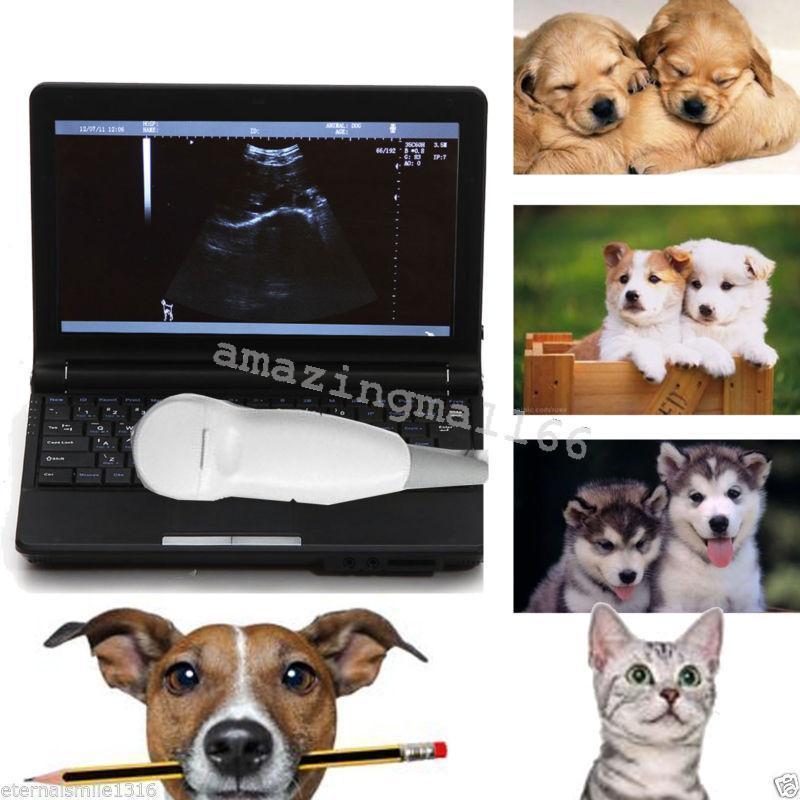 Veterinary vet Full Digital Laptop Ultrasound Scanner Micro-Convex Probe 3D Sale 190891712110 DIAGNOSTIC ULTRASOUND MACHINES FOR SALE