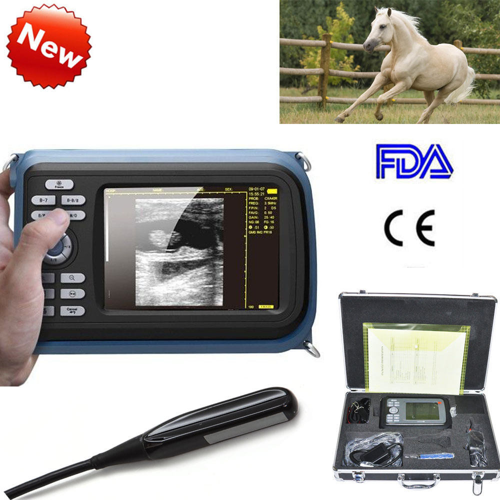 Veterinary Digital Ultrasound Scanner Big Animal Rectal Probe Neck Belt and Case 190891403353 DIAGNOSTIC ULTRASOUND MACHINES FOR SALE