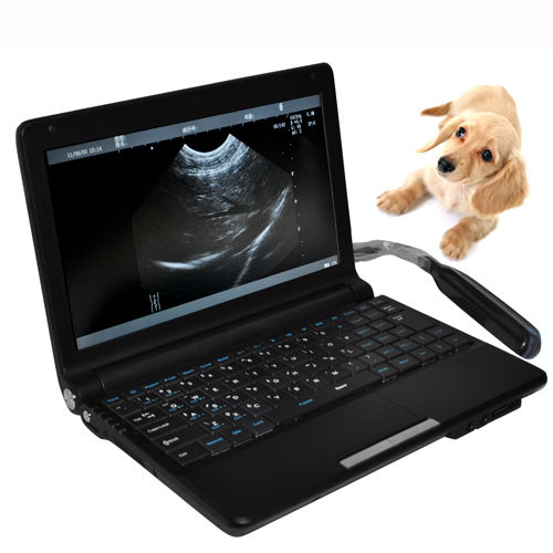 CE Veterinary Animals Laptop Machine Ultrasound Scanner Scan System Rectal Probe DIAGNOSTIC ULTRASOUND MACHINES FOR SALE