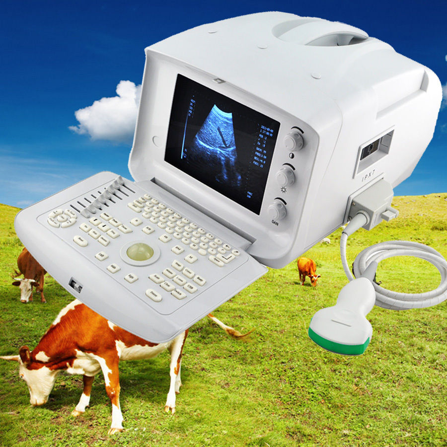 Portable Ultrasound Machine Scanner Convex probe 3D Veterinary Animals Cow Horse 190891649751 DIAGNOSTIC ULTRASOUND MACHINES FOR SALE