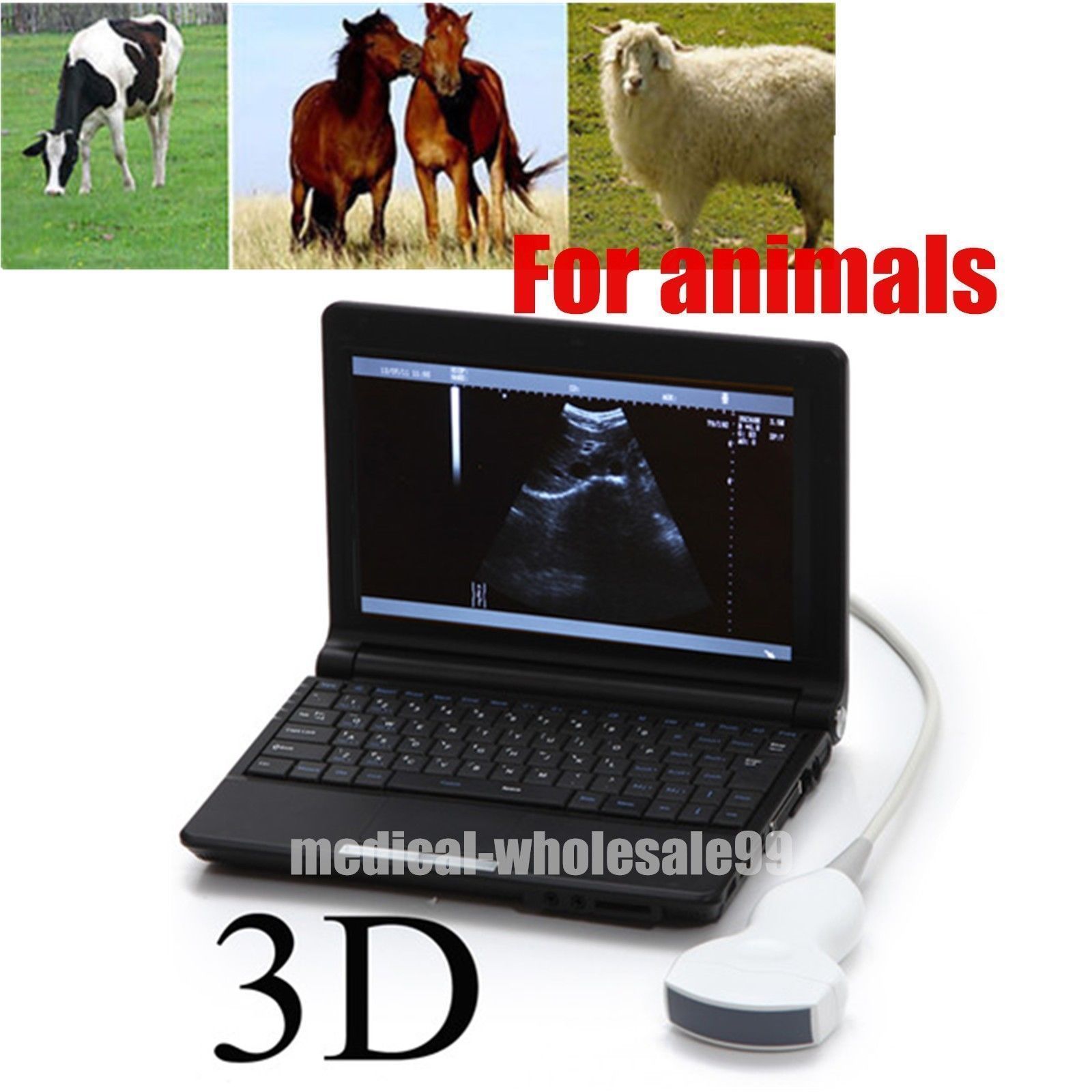 Laptop Ultrasound Scanner Machine 3D Convex Probe Ultrasound for dogs Animal VET 190891767318 DIAGNOSTIC ULTRASOUND MACHINES FOR SALE