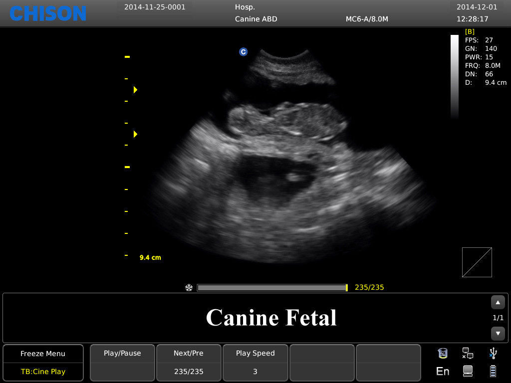 Chison ECO3 Ultrasound w/ 1 Probes and Accredited Veterinary Online Training DIAGNOSTIC ULTRASOUND MACHINES FOR SALE