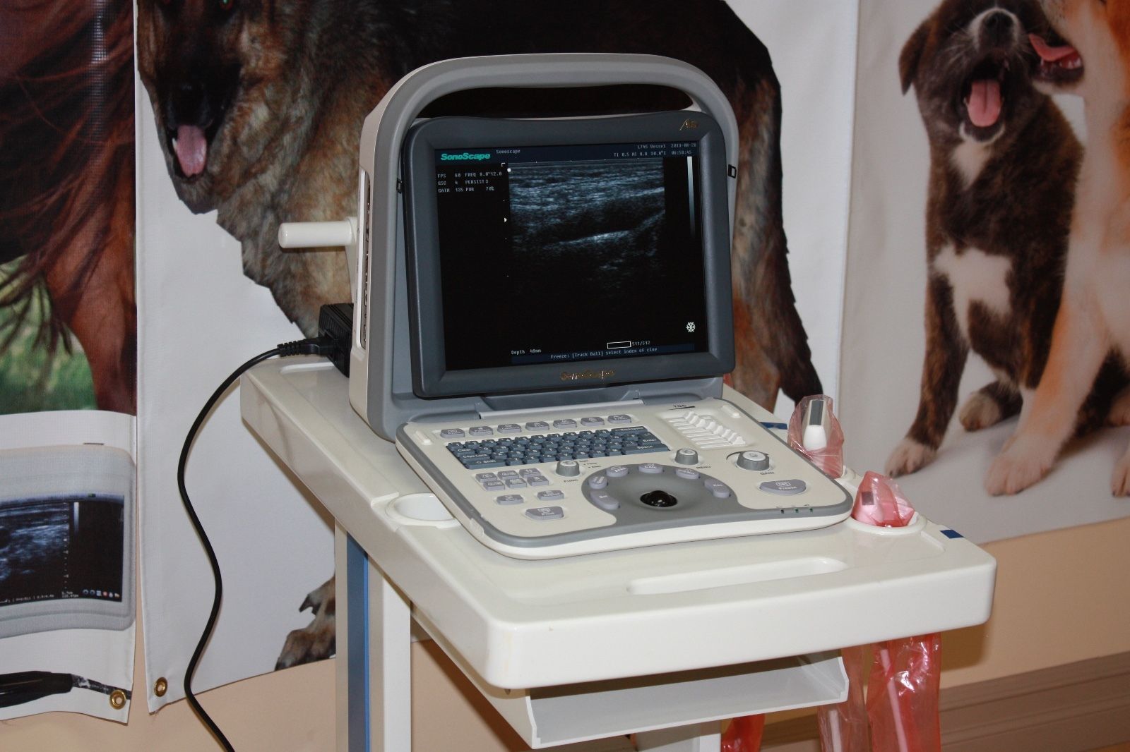 Veterinary Ultrasound-Best Selling Equine/Bovine Machine & Rectal Probe 4-12 MHz DIAGNOSTIC ULTRASOUND MACHINES FOR SALE