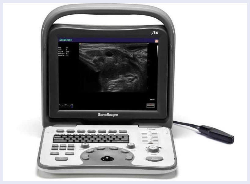 Veterinary Ultrasound-Best Selling Equine/Bovine Machine & Rectal Probe 4-12 MHz DIAGNOSTIC ULTRASOUND MACHINES FOR SALE