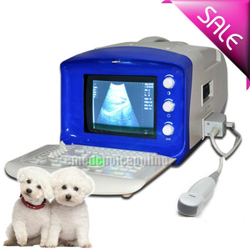 Vet Portable Ultrasound Scanner Machine Micro-Convex Probe 2 Probe CONNECTORS AA DIAGNOSTIC ULTRASOUND MACHINES FOR SALE