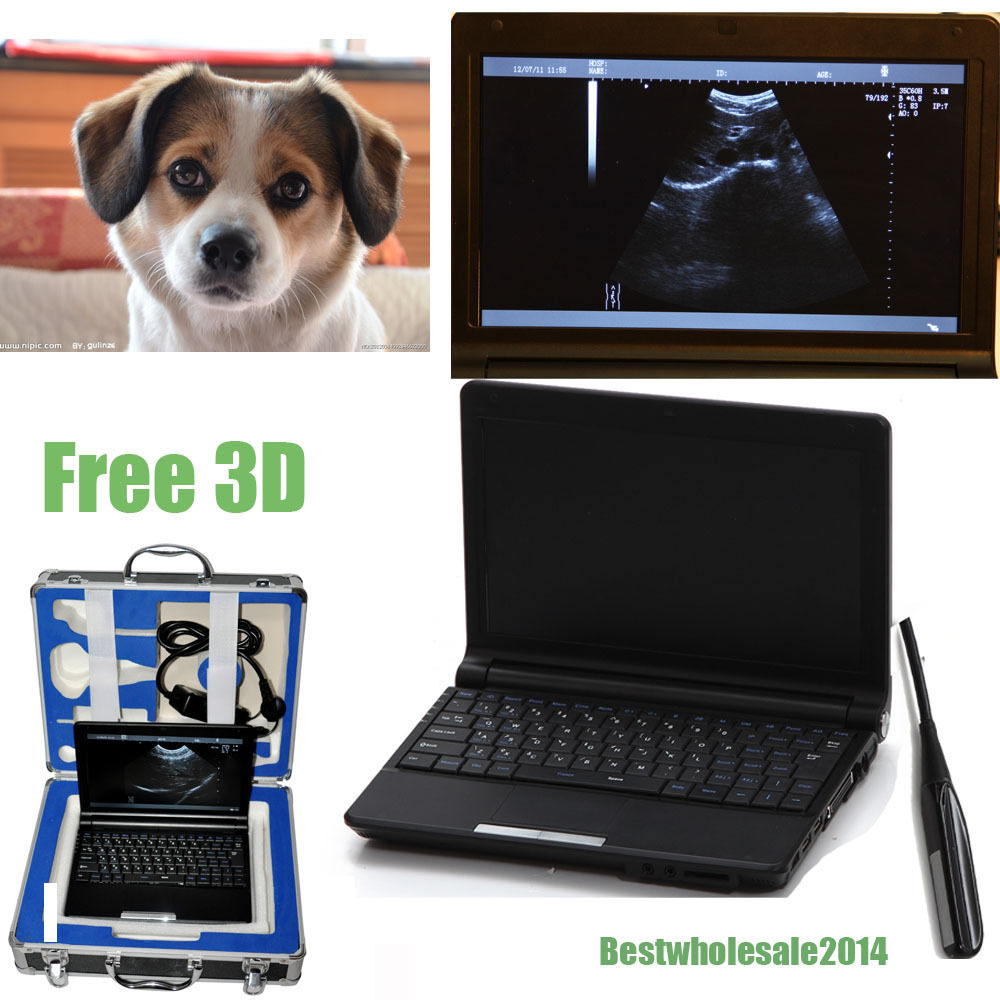 veterinary Laptop Vet Ultrasound Scanner Machine+ Animal Rectal probe 3D +Case 190891879592 DIAGNOSTIC ULTRASOUND MACHINES FOR SALE