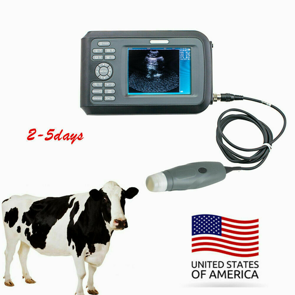 5.5inch Vet Digital Ultrasound Scanner Machine W Rectal Animal Horse Cow Sheep DIAGNOSTIC ULTRASOUND MACHINES FOR SALE