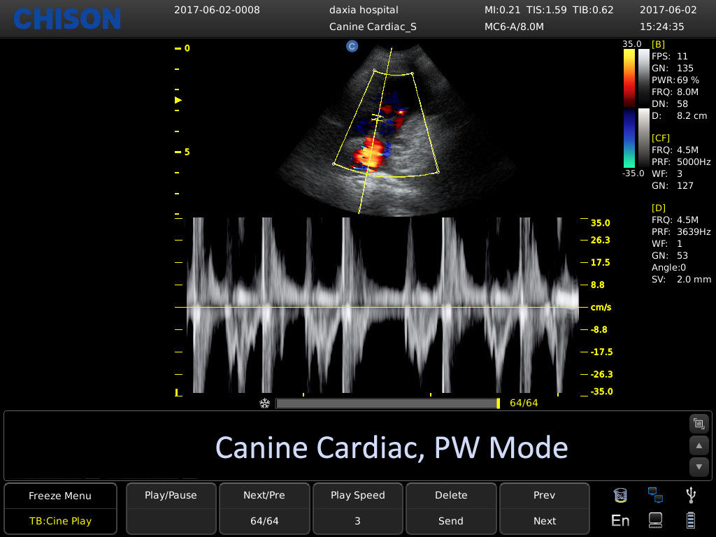 Chison ECO6 Ultrasound w/ 2 Probes and Accredited Veterinary Online Training DIAGNOSTIC ULTRASOUND MACHINES FOR SALE